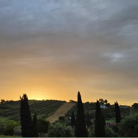 Sunnyhill 홈스테이 *