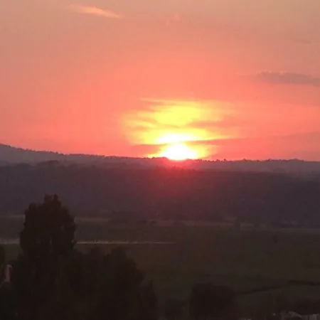 Homestay Sunnyhill Monterotondo (Lazio)