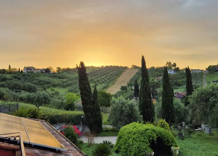 Sunnyhill * Monterotondo (Lazio)